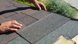 Asphalt Shingle Roof