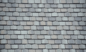 Asphalt Shingle Roof