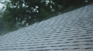 Asphalt Shingle Roof